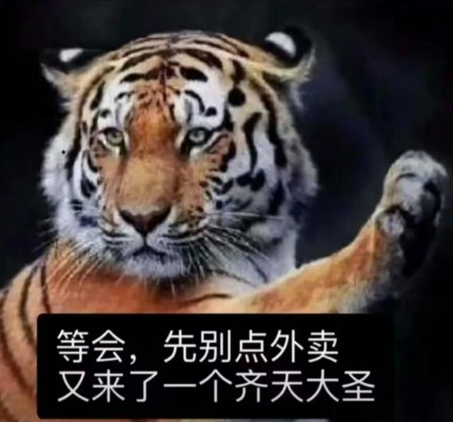 267f9e2f070828386345e379b6e12c0f4d08f19d.jpg